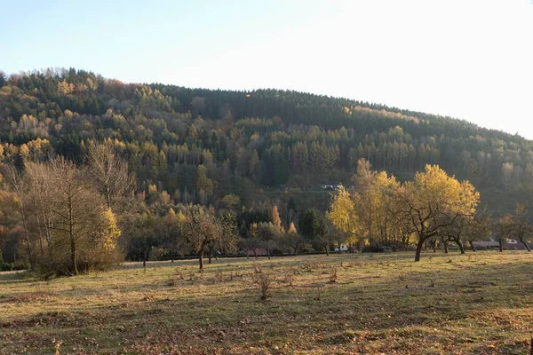 Όμορφο Πολύχρωμο Δάσος Φθινόπωρο Στην Τσεχική Τοπίο — Φωτογραφία Αρχείου