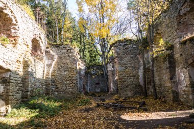 Avrupa 'daki Çech Cumhuriyeti' nin ormanlarında terk edilmiş bir barok kilisesi harabesi.