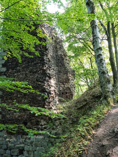 Ruina Castillo Medieval Medio Los Bosques República Checa Europa —  Fotos de Stock