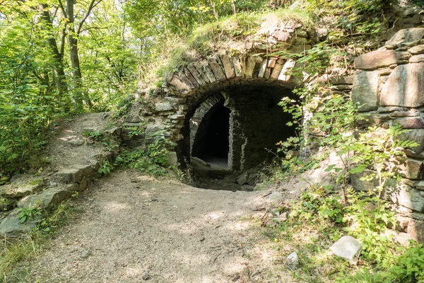 Ruine Château Médiéval Milieu Des Bois République Tchèque Europe — Photo