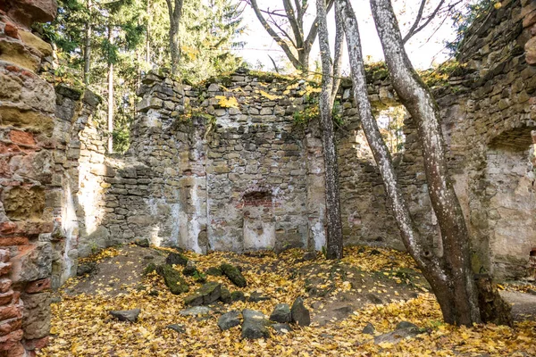 Ruina Abandonada Una Iglesia Barroca Bosque República Checa Europa — Foto de Stock