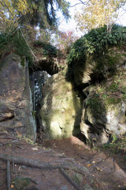 Avrupa 'nın kuzey bohemyasında, ardspach' ta çok güzel kaya kumtaşı oluşumları