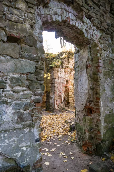 ヨーロッパのチェコ共和国の森のバロック様式の教会の廃墟を放棄しました — ストック写真