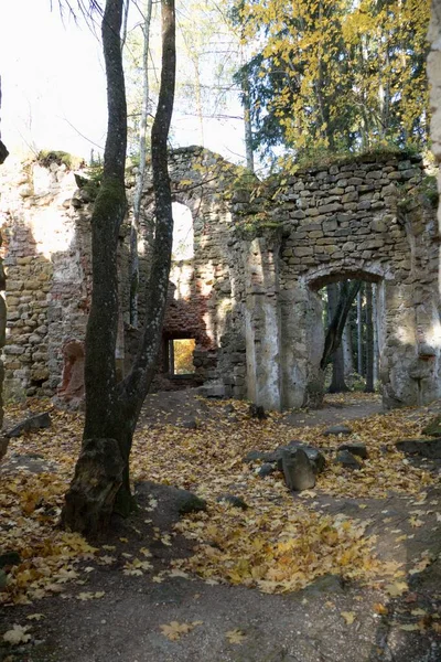 Ruína Abandonada Uma Igreja Barroca Floresta República Checa Europa — Fotografia de Stock