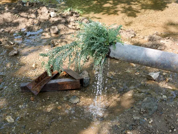 Pura Piccola Acqua Naturale Pozzo Nel Bosco — Foto Stock