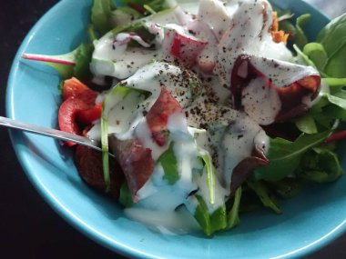 sağlıklı bir porsiyon taze sebze vitamin salatası.