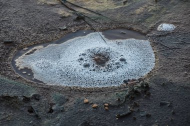 Volkanik çamur gayzerleri Batı Bohemya 'da Fransensbad tarafından rezerve edildi.