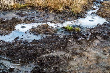 Volkanik çamur gayzerleri Batı Bohemya 'da Fransensbad tarafından rezerve edildi.