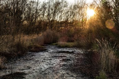 Volkanik çamur gayzerleri Batı Bohemya 'da Fransensbad tarafından rezerve edildi.