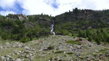 Şelaleli Alp Nehri