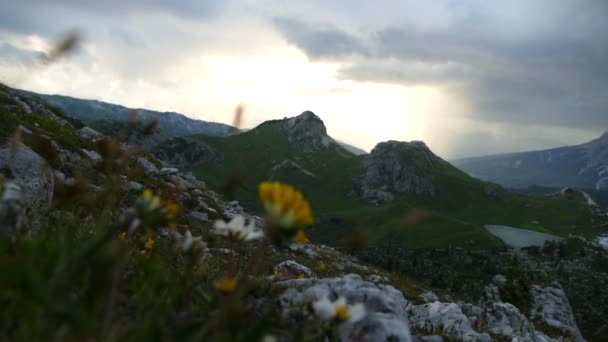 Альпийский Луг Летом — стоковое видео