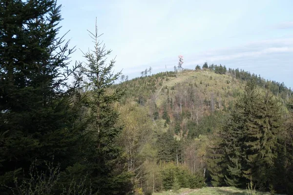 Wunderschöne Waldlandschaft Nordböhmens — Stockfoto