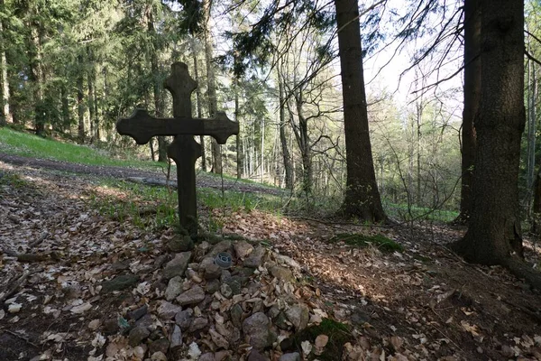 Beautiful Forest Natural Landscape Northern Bohemia — Stok fotoğraf