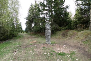 beautiful forest natural landscape of northern bohemia