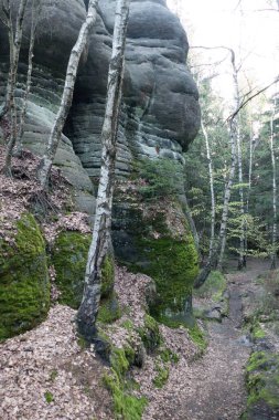 Kuzey Bohemya 'da kumtaşından oluşan ünlü güzel kaya oluşumları