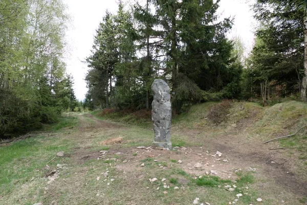 Wunderschöne Waldlandschaft Nordböhmens — Stockfoto