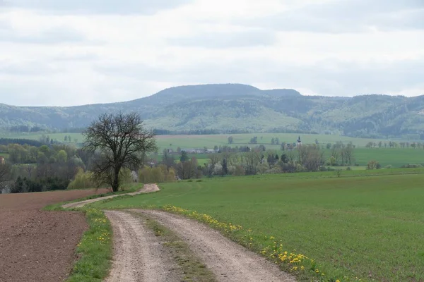 Piękny Leśny Krajobraz Północnych Czech — Zdjęcie stockowe