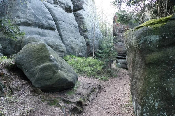 Famous Beautiful Rock Formations Sandstone Broumov Northern Bohemia — Stock Photo, Image