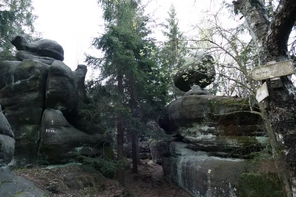 Kuzey Bohemya 'da kumtaşından oluşan ünlü güzel kaya oluşumları