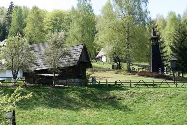 Kuzey Bohemya 'nın güzel doğal ormanı