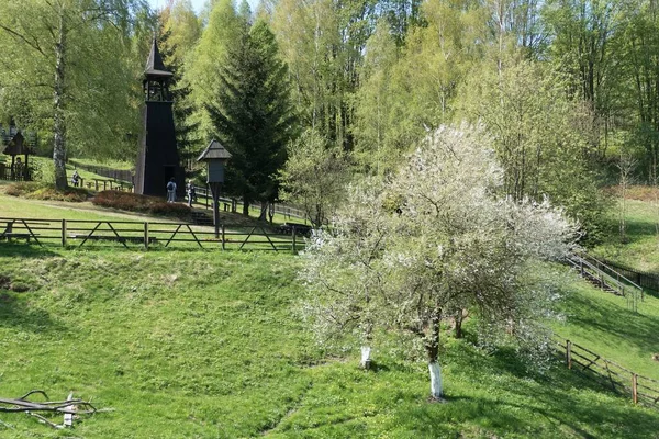 Kuzey Bohemya 'nın güzel doğal ormanı