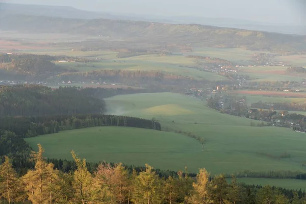 Gyönyörű Erdő Természeti Táj Észak Csehország — Stock Fotó