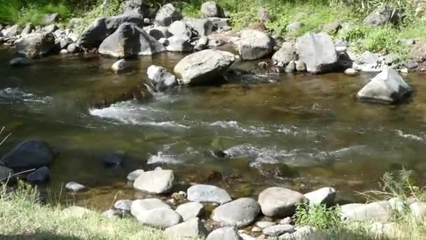 Чистый Ледяной Поток Холодной Воды Природе — стоковое видео