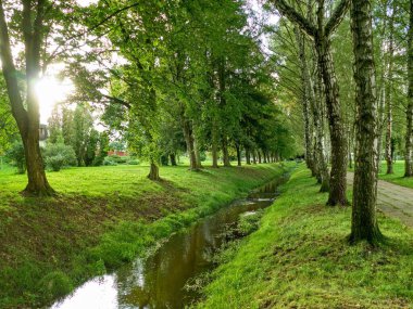 Ormanda saf su akıntısı