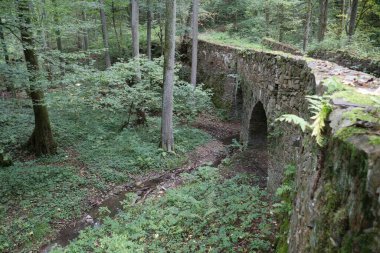 Ormanda unutulmuş eski bir taş kasa köprüsü