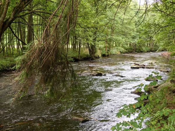 Chorro Agua Pura Madera — Foto de Stock