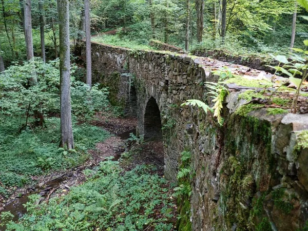 Ancient Forgotten Old Stone Vault Bridge Wood — Stock Photo, Image