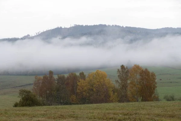Gyönyörű Cseh Vidék Természet Őszi Szezonban — Stock Fotó