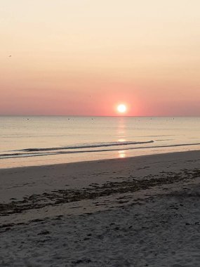 Balade en fort avec mon chien