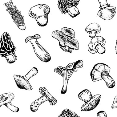 Mantarlar elle çizilmiş desen vektörü