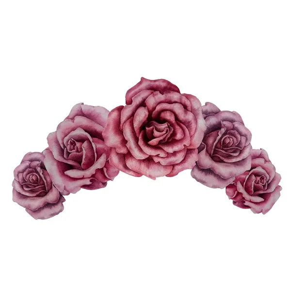 Moda baskıları için üç suluboya gül, tekstil desenleri, Sevgililer Günü için hediyeler, Anneler Günü, Kadınlar Günü, Doğum Günü, Düğün. Beyaz arkaplandaki element izole ve düzenlenebilir.