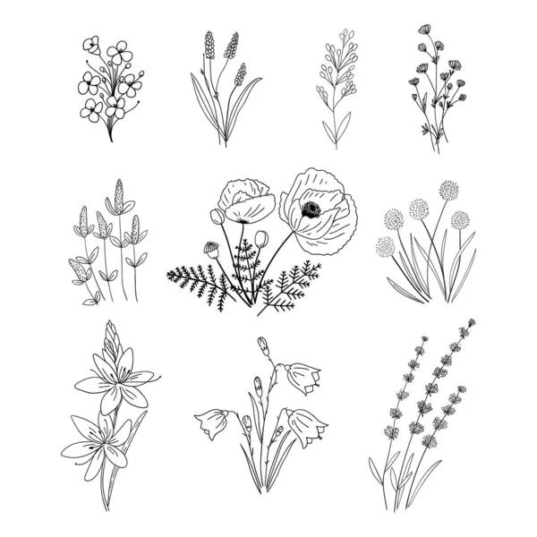 Conjunto Flores Salvajes Dibujadas Mano Blanco Negro Elementos Vectoriales Aislados — Archivo Imágenes Vectoriales