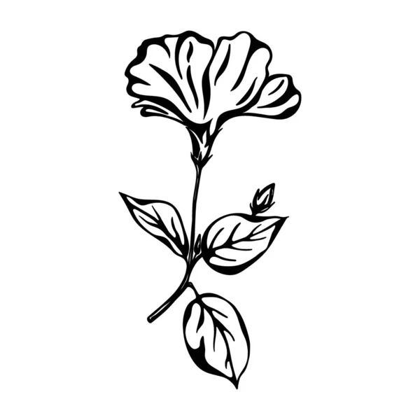 Color negro dibujado a mano flor de hibisco — Archivo Imágenes Vectoriales