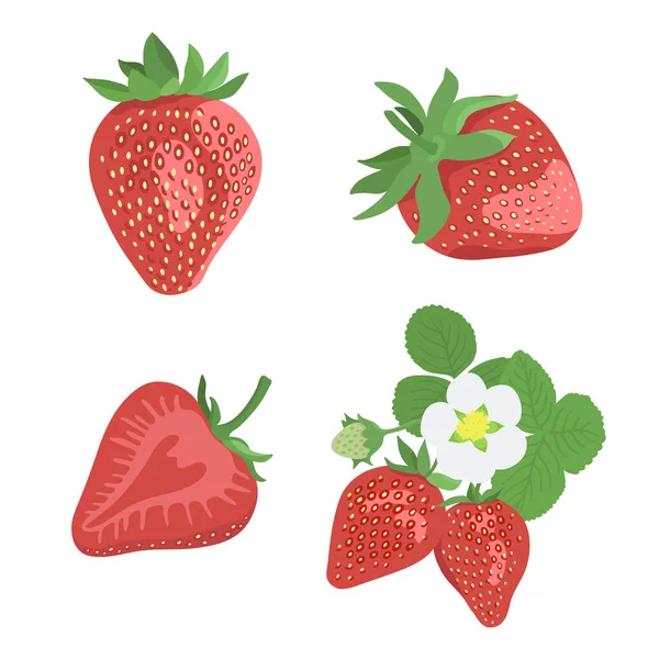 Conjunto de fresas maduras ilustración — Archivo Imágenes Vectoriales