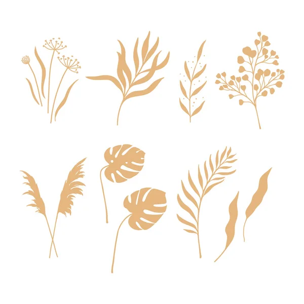 Boho tarzı bitkiler.