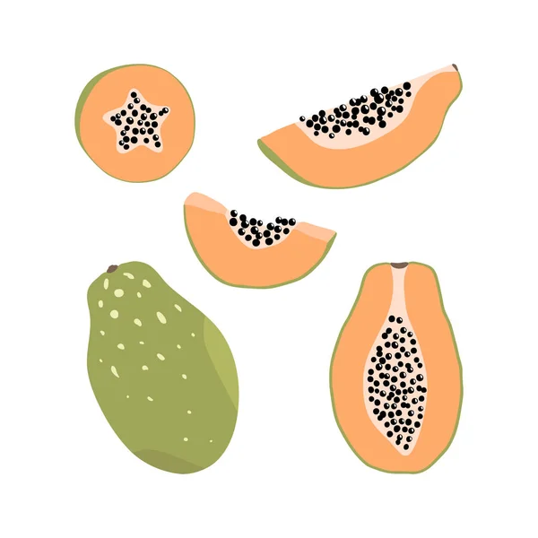 Conjunto de elementos de papaya dibujados a mano — Archivo Imágenes Vectoriales