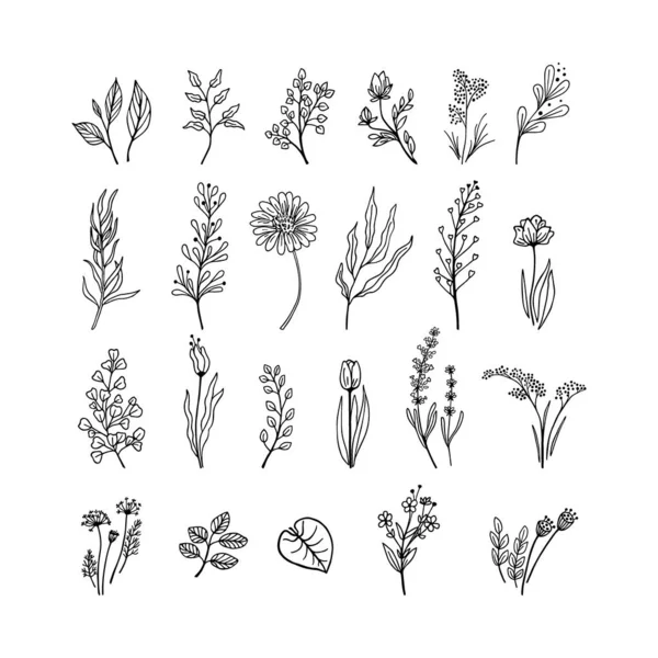 Set di piante di colore nero disegnate a mano — Vettoriale Stock
