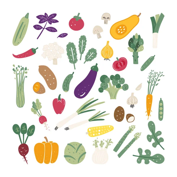 Big Set Different Doodle Style Vegetables Greens Vegetarian Vegan Organic — Stock Vector