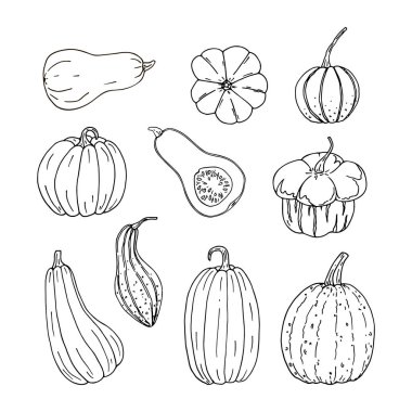 Set of hand drawn black color different pumpkins. Simple doodle style autumn illustration. clipart
