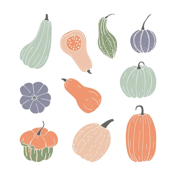 Pumpkin Autumn Hand Drawn Set Thanksgiving Halloween Elements — Stok Vektör