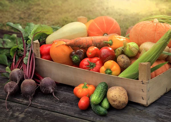 木の板の上に立つ籠の中のさまざまな多色の野菜や果物 — ストック写真