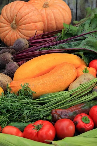 暗い背景に閉じ異なる多色の野菜や果物 木の板 — ストック写真