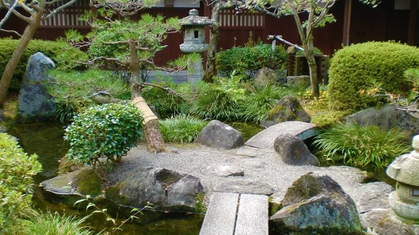  Japon bahçesinde bitkiler ve taşlar.