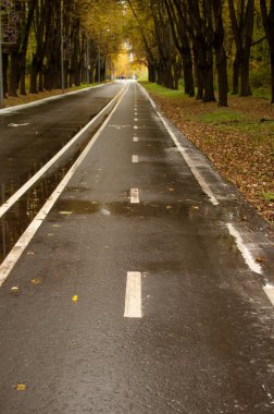 Parktaki ıslak asfaltta işaretleme