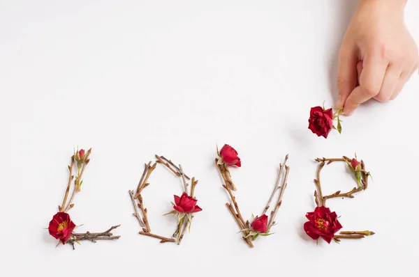 Mot Amour Disposé Brindilles Avec Petites Fleurs Rose Rouge Sur — Photo