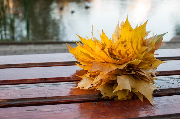 Herfst Gele Bladeren Een Bankje Het Park Een Wazige Vijver — Stockfoto